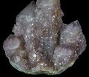 Cactus Quartz (Amethyst) Crystal Cluster - Extra Dark #64215-2
